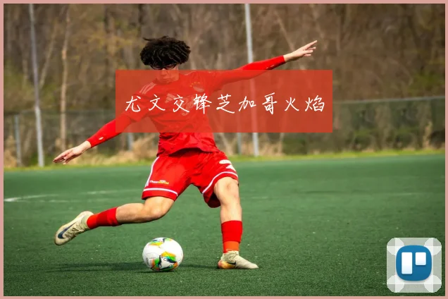 尤文交锋芝加哥火焰