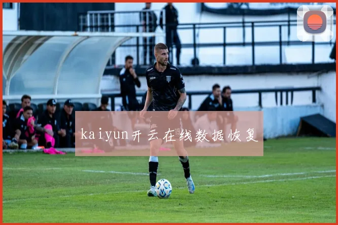 kaiyun开云在线数据恢复