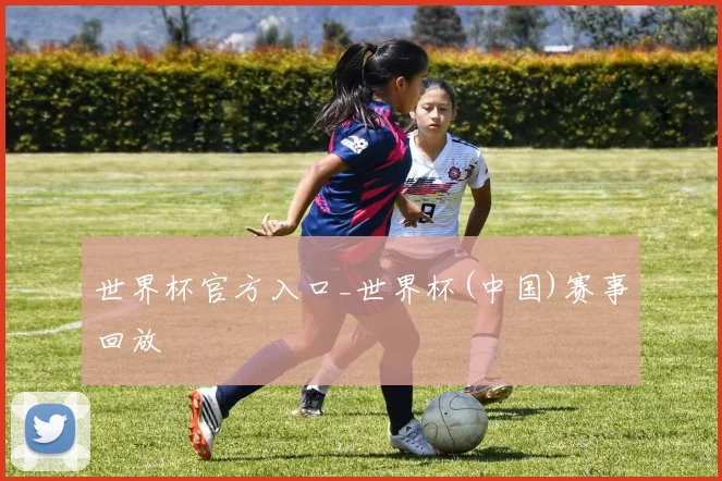 世界杯官方入口_世界杯(中国)赛事回放
