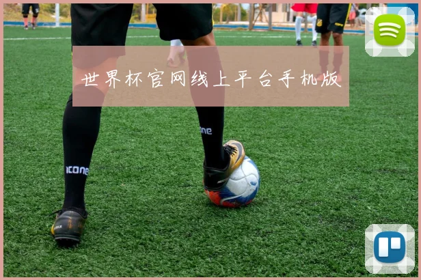 世界杯官网线上平台手机版