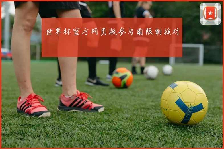 世界杯官方网页版参与前限制核对