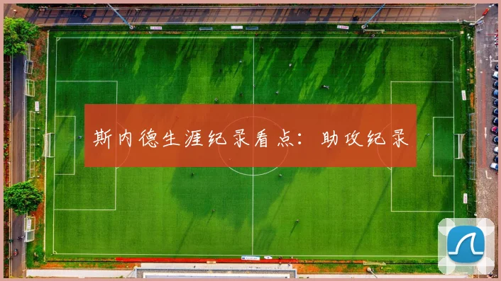 斯内德生涯纪录看点：助攻纪录