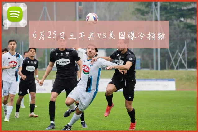 6月25日土耳其vs美国爆冷指数