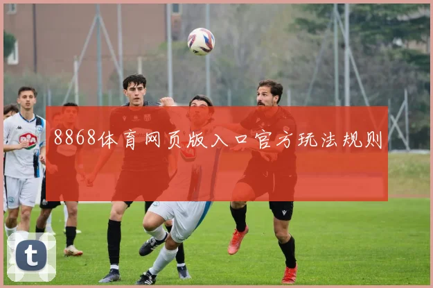 8868体育网页版入口官方玩法规则