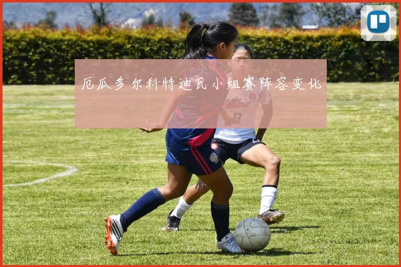 厄瓜多尔科特迪瓦小组赛阵容变化