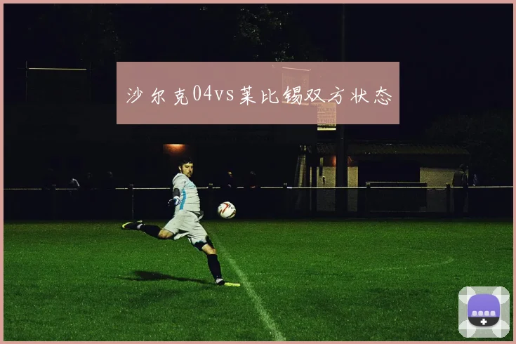 沙尔克04vs莱比锡双方状态
